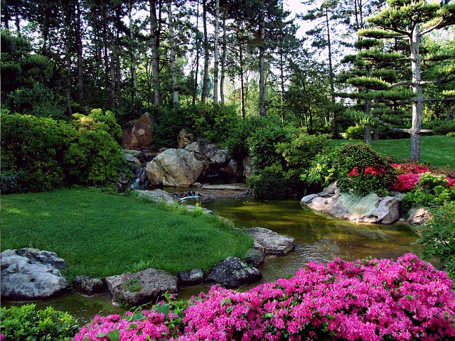 Landscaping and Property Values